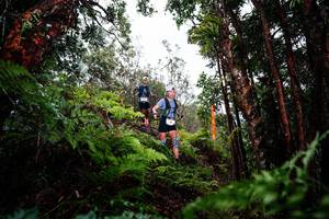 BIB: 
                            <button type="button" onclick="openModal(26201229)" class="btn btn-primary btn-sm float-right btn-popup" data-toggle="modal" data-target=".modal-high-quality">
                        <i class="fas fa-shopping-cart"></i> Add to Cart
                    </button>
                                            <button type="button" onclick="isThisMe(26201229, true)" class="btn btn-success btn-sm float-right btn-popup btn-isme hidden" data-toggle="tooltip" data-placement="bottom" title="นี่คือรูปของคุณใช่ไหม คลิกที่นี่เพื่อเอาเข้าอัลบั้ม">
                        <i class="fas fa-plus"></i> Add to album
                    </button>
                    <button type="button" onclick="isThisMe(26201229, false)" class="btn btn-warning btn-sm float-right btn-popup btn-isnotme hidden">
                        <i class="fas fa-ban"></i> Remove from album
                    </button>